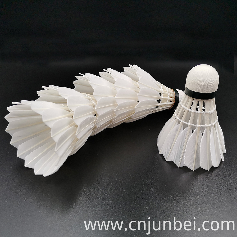 Retail 100% Natural Goose Feather Badminton Retail 100% Natural Goose Feather Badminton